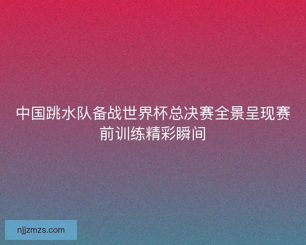 中国跳水队备战世界杯总决赛全景呈现赛前训练精彩瞬间 中国跳水队备战世界杯总决赛全景呈现赛前训练精彩瞬间